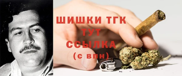ГАЛЛЮЦИНОГЕННЫЕ ГРИБЫ Приозерск